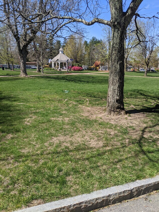 Town common - 6 Park St