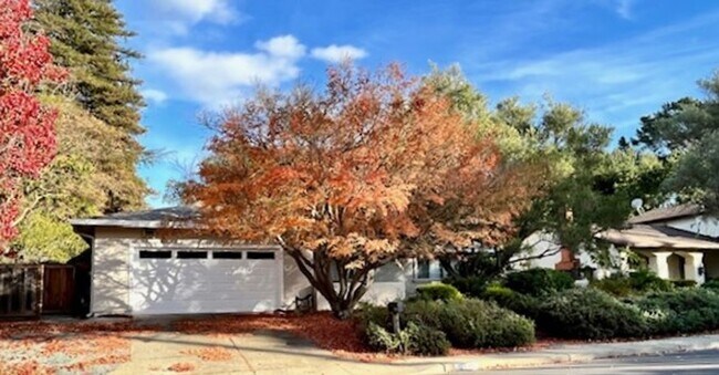 Building Photo - Move-in Ready, Single Story, 3BD/2BA Home ...