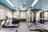 Located at 701 T C Jester Blvd in Houston, TX, this fitness center offers a comprehensively equipped workout space designed to support a wide range of exercise routines. The room is immediately distinctive thanks to its bold teal-painted ceiling, which contrasts with neutral beige walls and creates a vibrant, energizing atmosphere. A ceiling fan complements the flush-mounted fluorescent lighting, ensuring consistent airflow and illumination throughout the space. Large windows along multiple walls flood the interior with natural light and provide views of the surrounding greenery, making for an inviting workout environment. The durable rubber-fleck flooring provides cushioning and traction suitable for both cardio and strength training activities. The space is outfitted with True-brand cardio equipment, including treadmills, a stair climber, and an elliptical machine. A multi-functional cable resistance station anchors the strength training area, accompanied by a fully stocked dumbbell rack, kettlebells, medicine balls, and adjustable benches. Floor-to-ceiling mirrors line one wall, enhancing the sense of openness and allowing users to monitor their form. A water fountain and accessible restroom facilities are also present, rounding out the practical amenities of this well-appointed fitness facility.