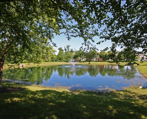 Building Photo - Vistas at Wedgewood