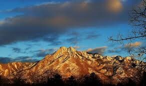 Building Photo - 1225 Wolf Hollow Ln