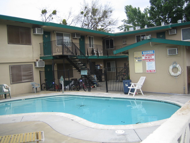 Pool - Camellia Apartments