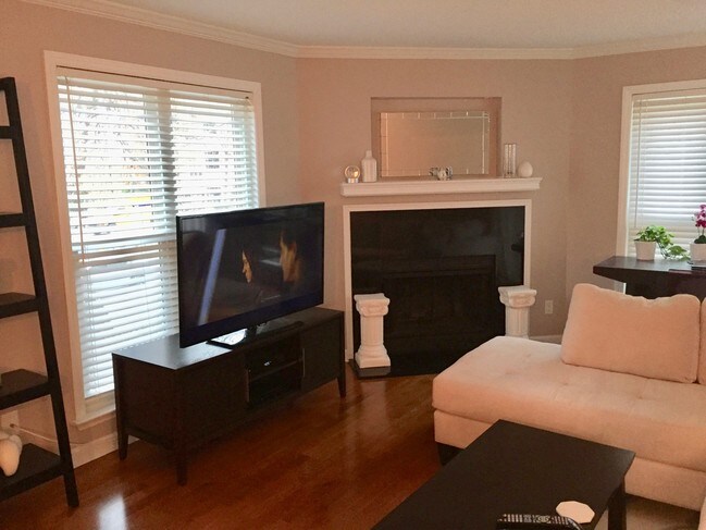 attractive fireplace - 2516 Cranbrook Ln