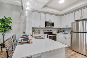 Charlotte Commons Apartments Kitchen - Charlotte Commons