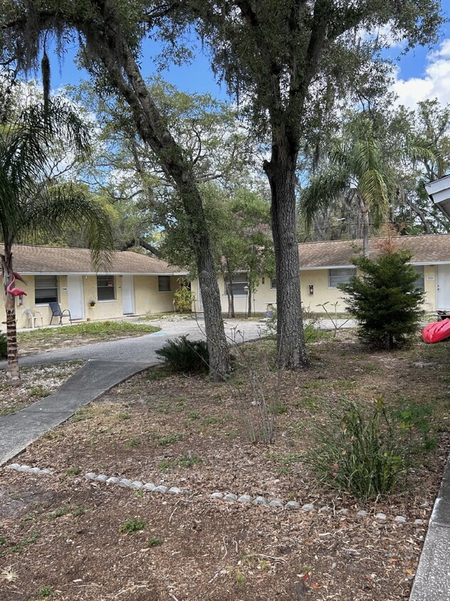 Foto principal - Cozy 1-Bed on Silver Spur Drive, Holiday FL