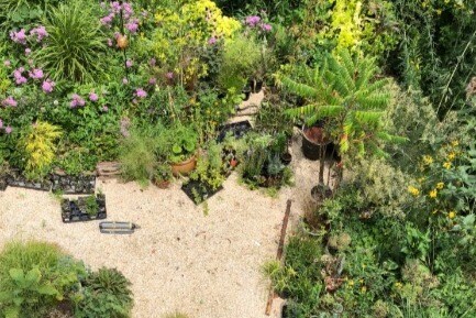 Garden - 815 S 49th St