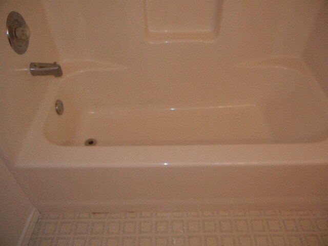 Foto del edificio - 3504 Rainforest Ln