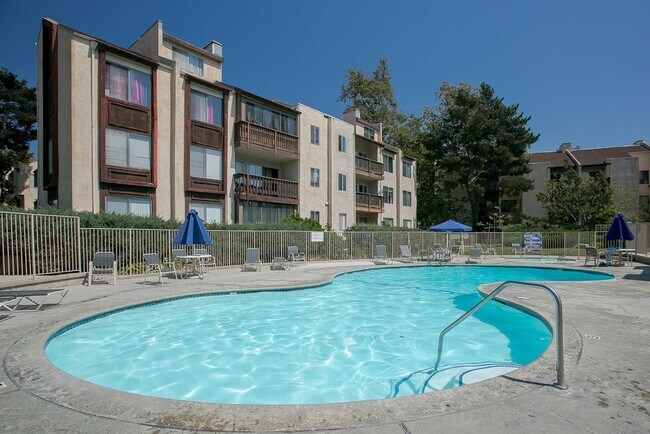 Pool - 3106 Summertime Ln