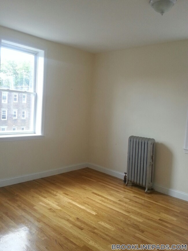 Building Photo - 66 Egmont St