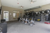 This well-equipped fitness center at 5801 Zebulon Rd in Macon, Georgia, is designed to accommodate a wide range of workout styles within a single-floor layout. The space is divided into distinct functional zones, each thoughtfully outfitted for a comprehensive fitness experience.

The cycling studio houses a row of True brand spin bikes positioned on durable carpet flooring, complemented by exposed industrial-style ductwork overhead that adds a modern edge to the room's aesthetic. Adjacent to the bikes, a full wall-mounted equipment rack holds an extensive collection of medicine balls, stability balls, kettlebells, and dumbbells, providing everything needed for strength and conditioning workouts. A punching bag is also present, adding a boxing element to the training options.

A separate open exercise area features high vaulted ceilings, carpet flooring, and large windows that invite natural light and offer views of the surrounding exterior. A wall-mounted flat-screen television serves as a focal point for guided workouts or entertainment. Xtreme Monkey plyo boxes in varying heights are positioned throughout this space, supporting plyometric and agility training.

The overall ambiance is clean, functional, and modern, with neutral tones and thoughtful organization throughout. Natural light, ceiling fans, and mirrored walls further enhance the environment, making this fitness center a versatile and inviting space for residents and users alike.
