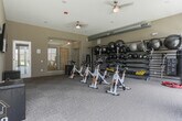 This well-equipped fitness center at 5801 Zebulon Rd in Macon, Georgia, is designed to accommodate a wide range of workout styles within a single-floor layout. The space is divided into distinct functional zones, each thoughtfully outfitted for a comprehensive fitness experience.

The cycling studio houses a row of True brand spin bikes positioned on durable carpet flooring, complemented by exposed industrial-style ductwork overhead that adds a modern edge to the room's aesthetic. Adjacent to the bikes, a full wall-mounted equipment rack holds an extensive collection of medicine balls, stability balls, kettlebells, and dumbbells, providing everything needed for strength and conditioning workouts. A punching bag is also present, adding a boxing element to the training options.

A separate open exercise area features high vaulted ceilings, carpet flooring, and large windows that invite natural light and offer views of the surrounding exterior. A wall-mounted flat-screen television serves as a focal point for guided workouts or entertainment. Xtreme Monkey plyo boxes in varying heights are positioned throughout this space, supporting plyometric and agility training.

The overall ambiance is clean, functional, and modern, with neutral tones and thoughtful organization throughout. Natural light, ceiling fans, and mirrored walls further enhance the environment, making this fitness center a versatile and inviting space for residents and users alike.