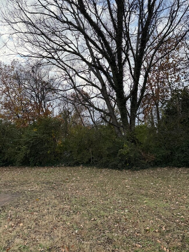 Building Photo - 111 Cash Ln