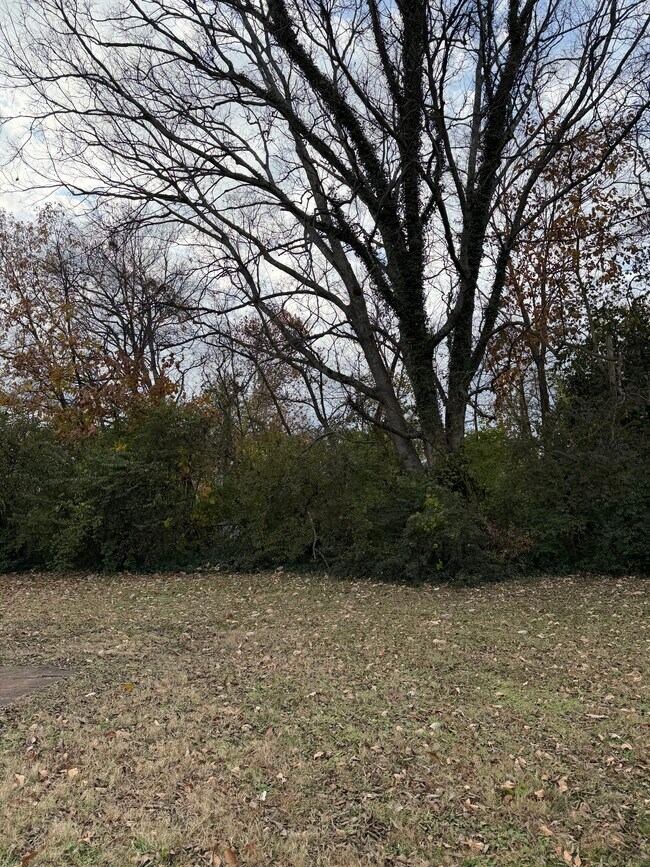 Foto del edificio - 111 Cash Ln