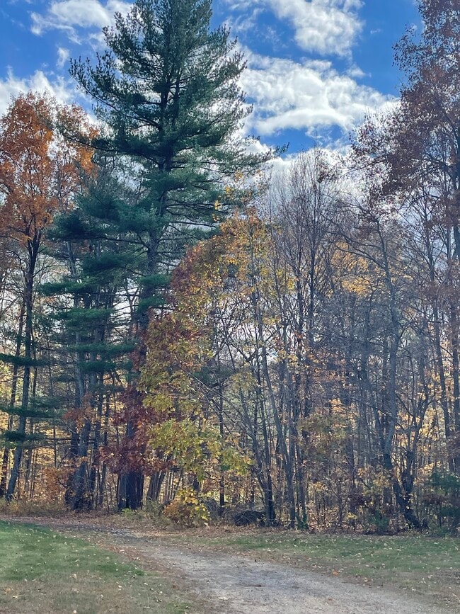 Building Photo - 86 Buff Cap Rd