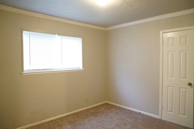 Bedroom 2 - 1131 Shadwell Dr