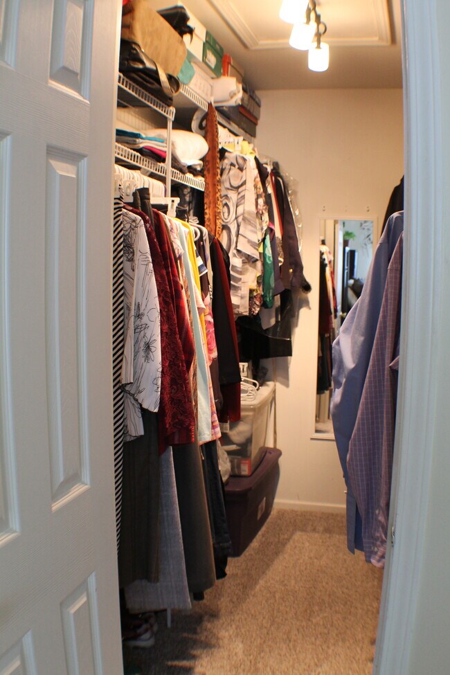 Foto del edificio - 349 Bluestone Ct