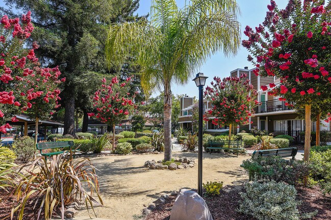 Foto del edificio - Town & Country Apartments