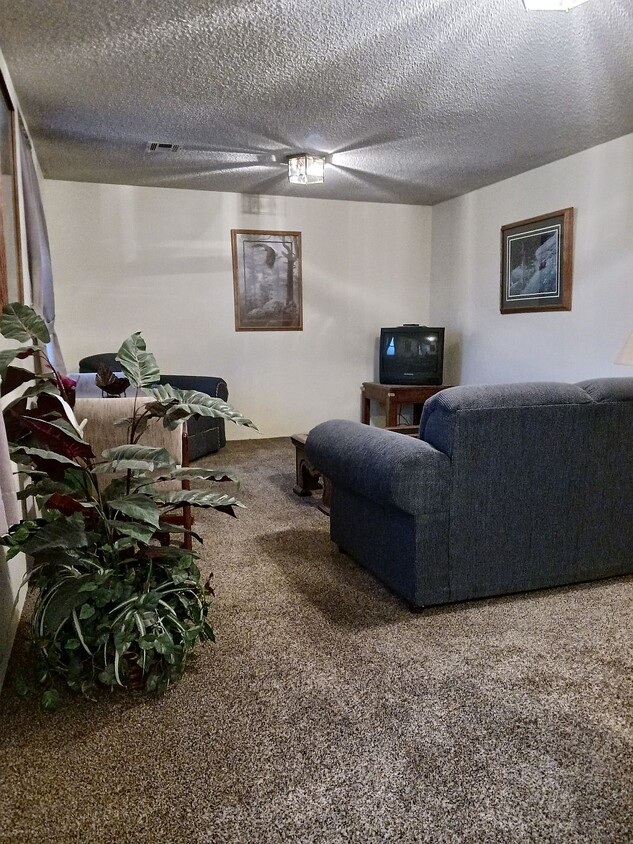 Living Room - 303 N Kansas Ave