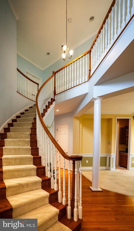 Foto del edificio - 9571 Linnett Hill Dr