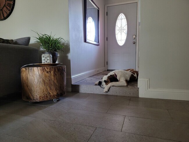 Foto del edificio - FOR LEASE - 3/2/2 - WEST LUBBOCK HOME