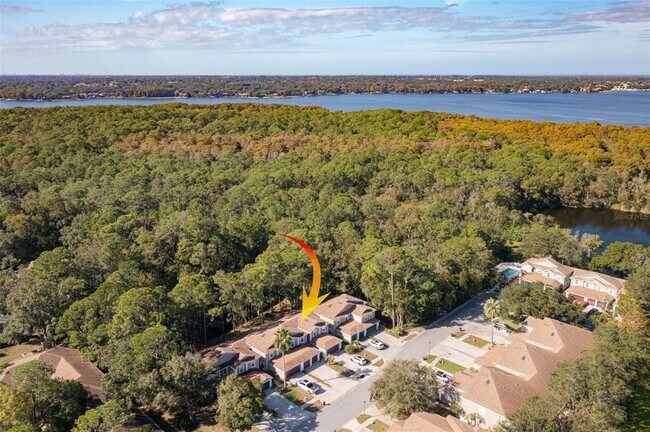 Building Photo - 4348 Brooker Creek Dr