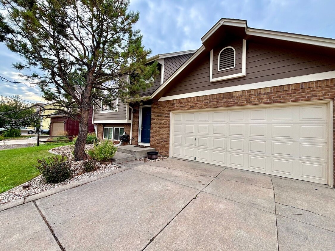 Primary Photo - Newly Updated Home in Great Fort Collins L...