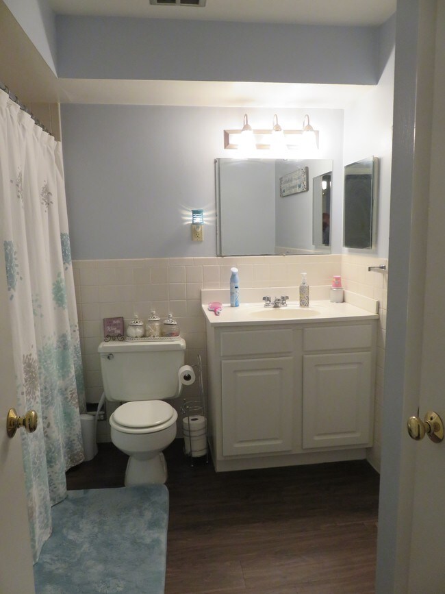 Updated Bath - 10069 Puttington Dr