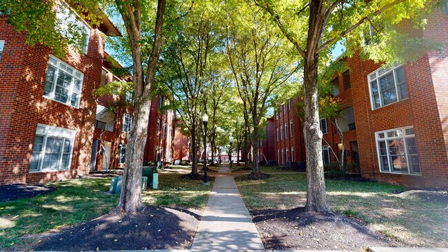 Dé un paseo tranquilo por nuestro tranquilo patio: su escape perfecto para relajarse y recargar energías. - Fisher Commons