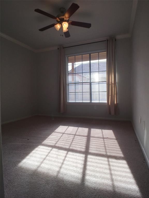 2255 Braeswood Park Dr Unit 116, Houston, TX 77030 - Condo for Rent in Houston, TX | Apartments.com