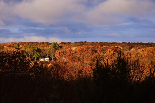 Building Photo - 327 S Adams St