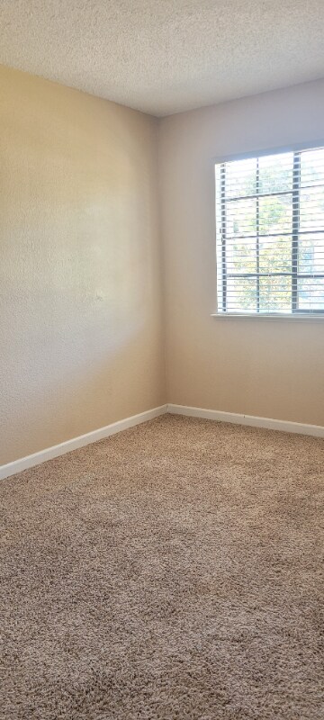 Building Photo - 244 Clearview Dr