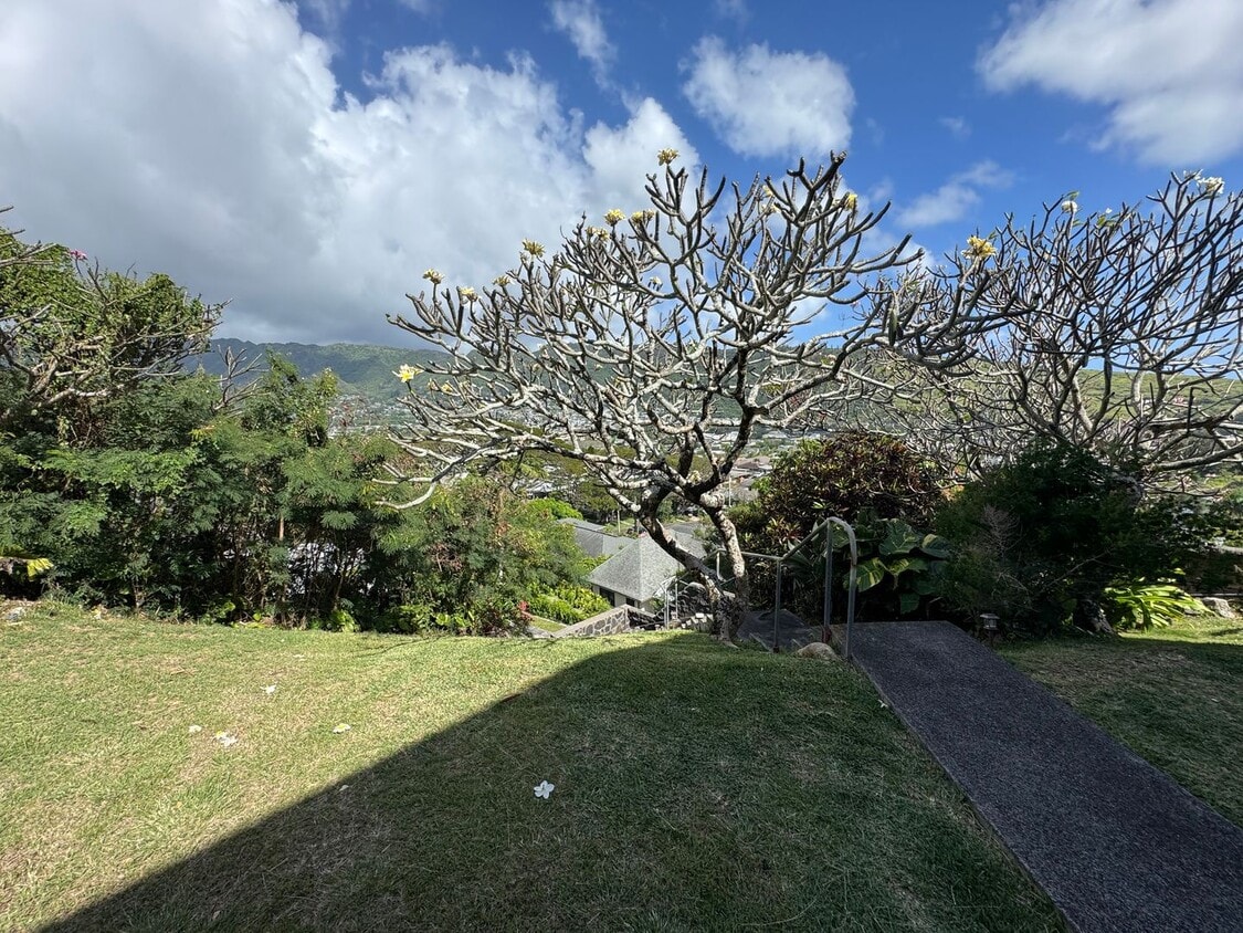 Building Photo - Private Manoa One Bedroom Unit with a beautiful valley view (420 sq ft)
