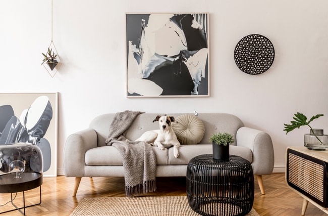 Building Photo - Residences at Salado