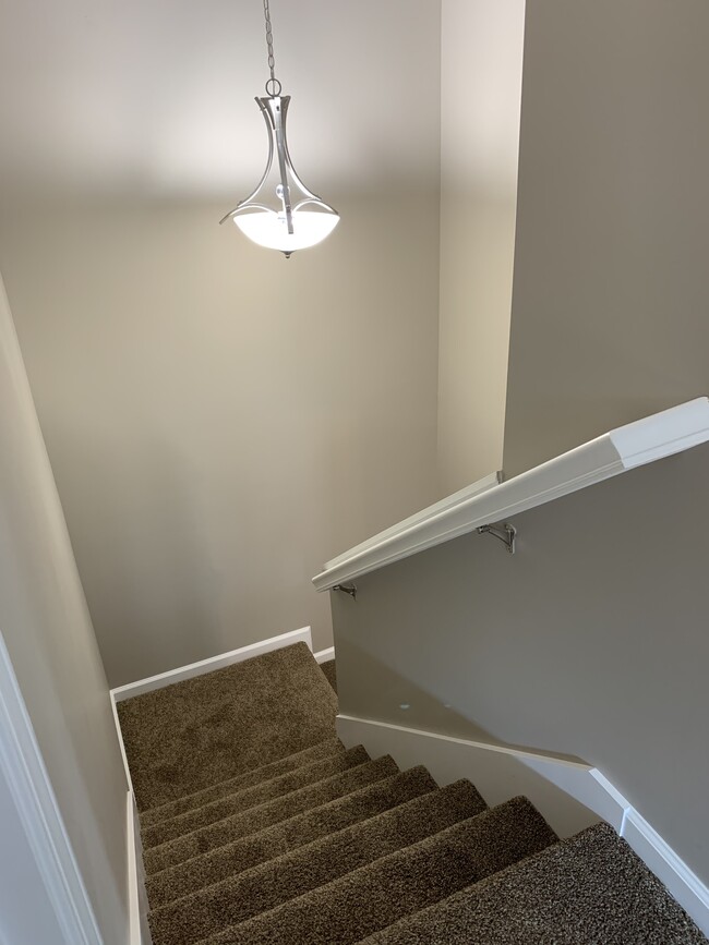 down stairs- 2 levels - 2303 Rehm Dr