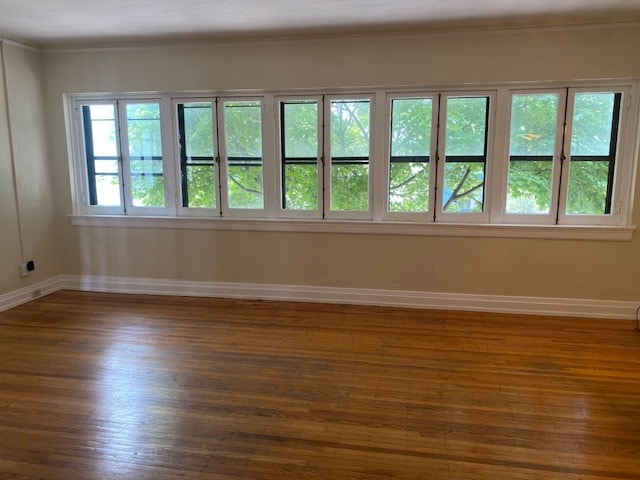 Building Photo - 125 Elmwood Ave
