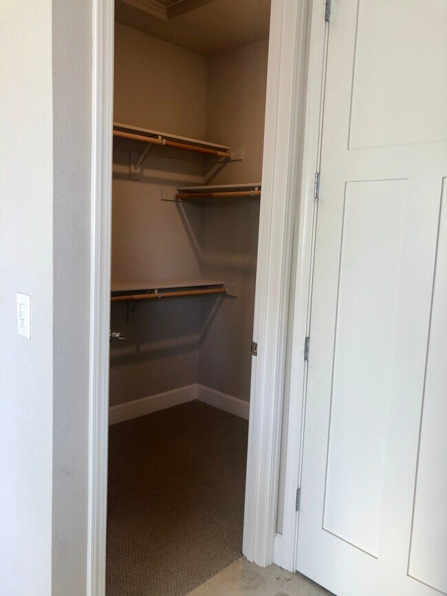 big walk in closet - 919 Perennial Ter