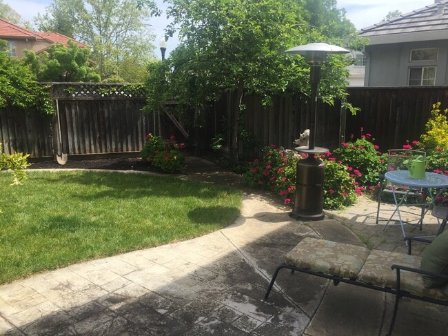 Backyard - 1863 Blackwood Common