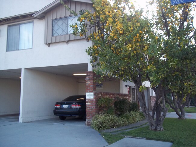 Foto del edificio - 5929 Laurel Canyon Blvd
