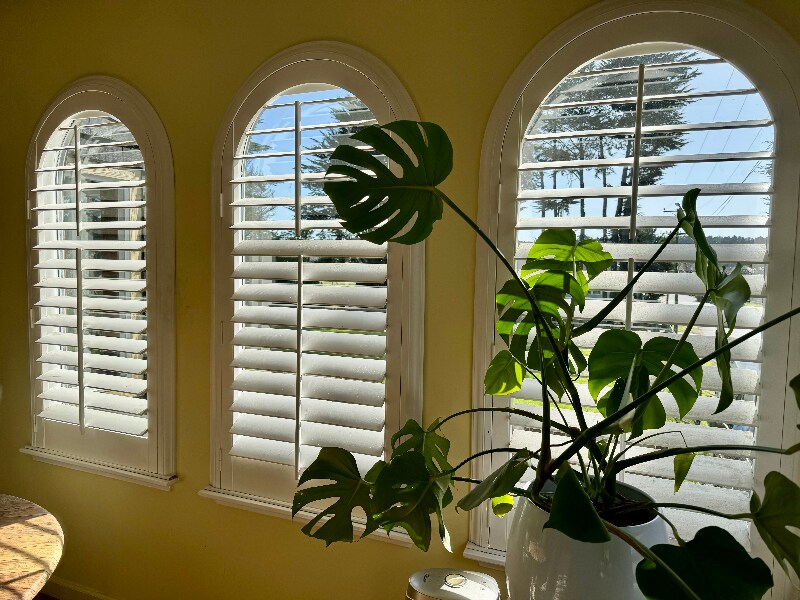 Foto principal - 570 Vermont Ave