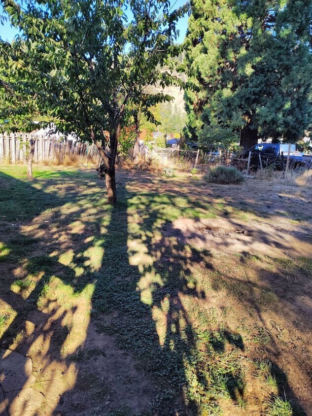 Foto del edificio - Cute 2 bedroom 1 bath home in Myrtle Creek...