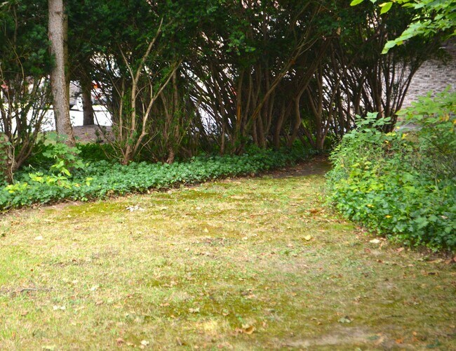 Foto del edificio - Charming 3-Bedroom Home in Fairview Park