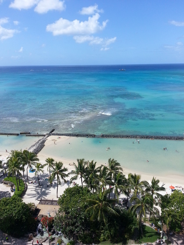 Primary Photo - 2500 Kalakaua Ave