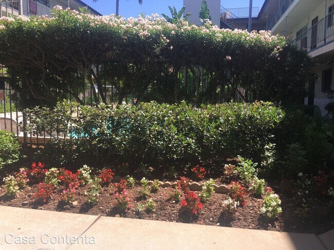 Foto del edificio - 514 N Wilcox Ave