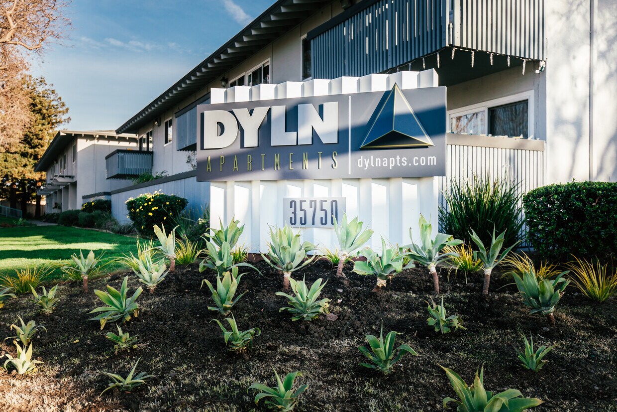 Foto principal - DYLN