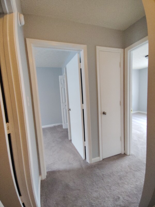 Building Photo - 36 Duiguid Dr