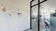 Located at 9235 Senator Royall Dr. in Charlotte, NC, this fitness center is a thoughtfully designed, single-floor amenity space built to support a comprehensive workout experience. The facility is organized into distinct zones, each tailored to a specific type of training. The main strength and cardio area is anchored by large, floor-to-ceiling windows that flood the space with natural light and offer views of the outdoor pool area, creating an open and energizing atmosphere. A full lineup of cardio machines, including multiple treadmills and a Matrix cable system, lines the perimeter, while free weights, a dumbbell rack, and weight benches occupy the central floor. A standout feature is the dramatic sky-themed wall mural, adding a vibrant, artistic focal point to the free weights area. Stability balls and additional training accessories are neatly organized nearby. Glass-panel partitions with sleek black frames divide the space into semi-private sections, including a dedicated studio area outfitted with a cycling bike and wall-mounted display. The entryway corridor features whimsical animal head wall sculptures, lending a playful personality to the otherwise contemporary design. Carpeted and hardwood-style flooring define different zones, while ceiling fans and recessed lighting ensure comfort throughout.