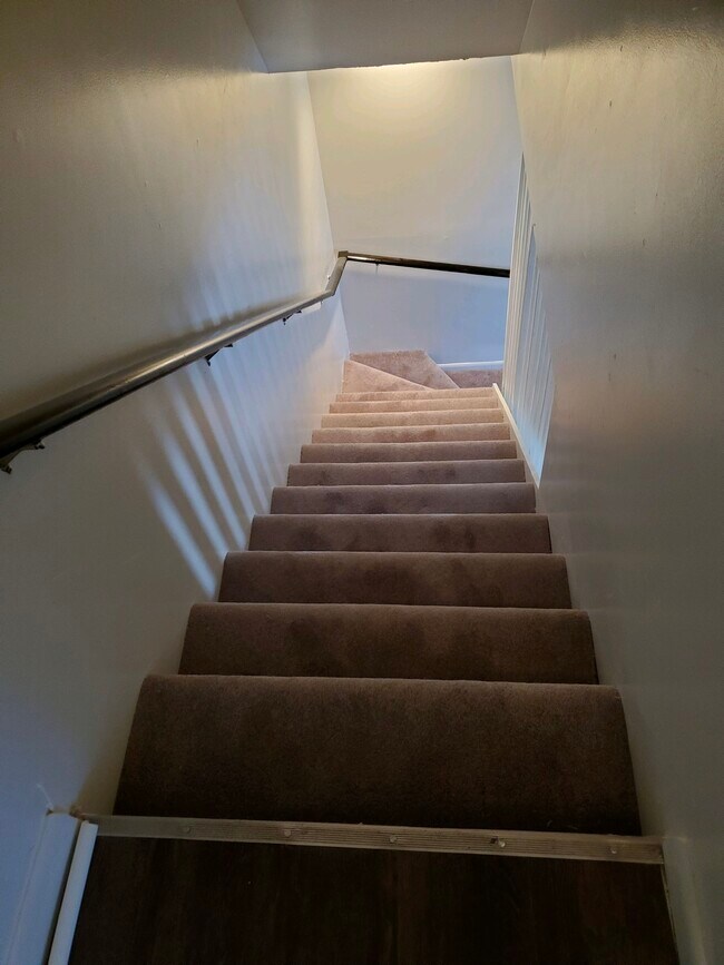 New carpet - 20 S Paul Laurence Dunbar St