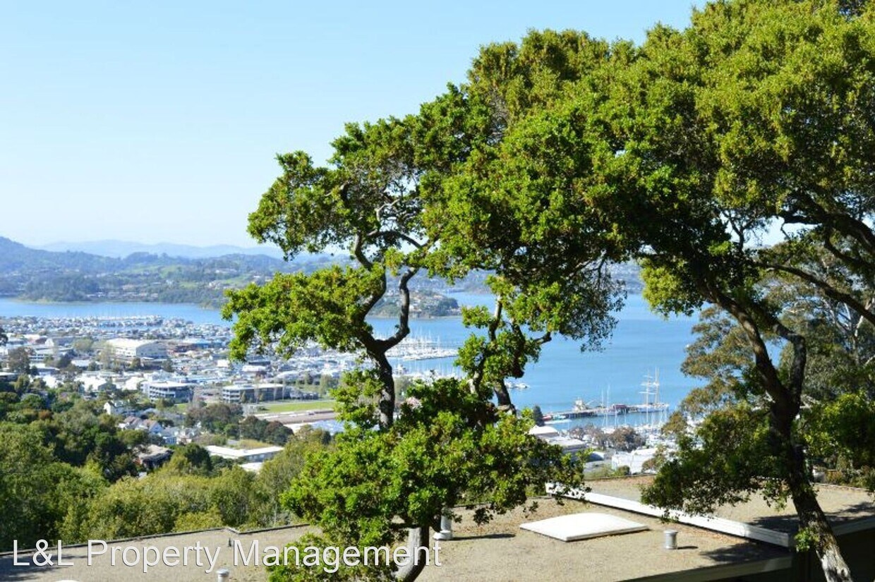 15 Toyon Ln, Sausalito, CA 94965 House Rental in Sausalito, CA