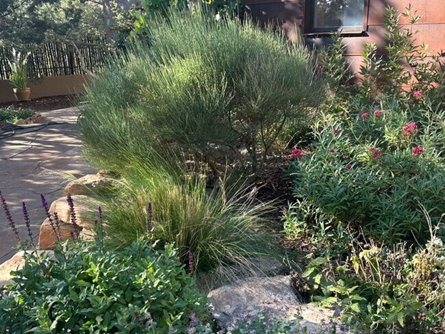 Foto del edificio - Turnkey Northside Casita in a Garden Setting