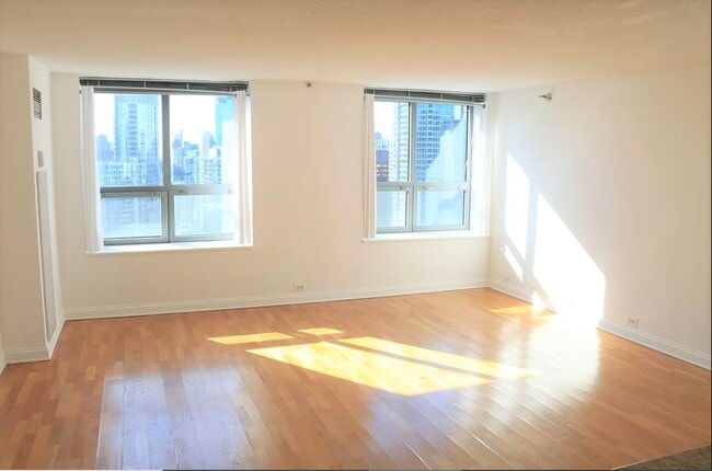 Sunny unit - 474 N Lake Shore Dr